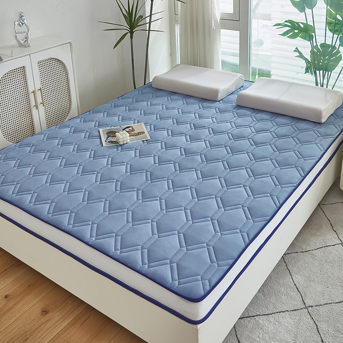 91家纺网 家纺一手货源 找家纺 赢盛家纺 2025新款针织记忆海绵床垫大学生床垫上下铺床垫单人床垫记忆棉床垫高中生床垫子 天空蓝