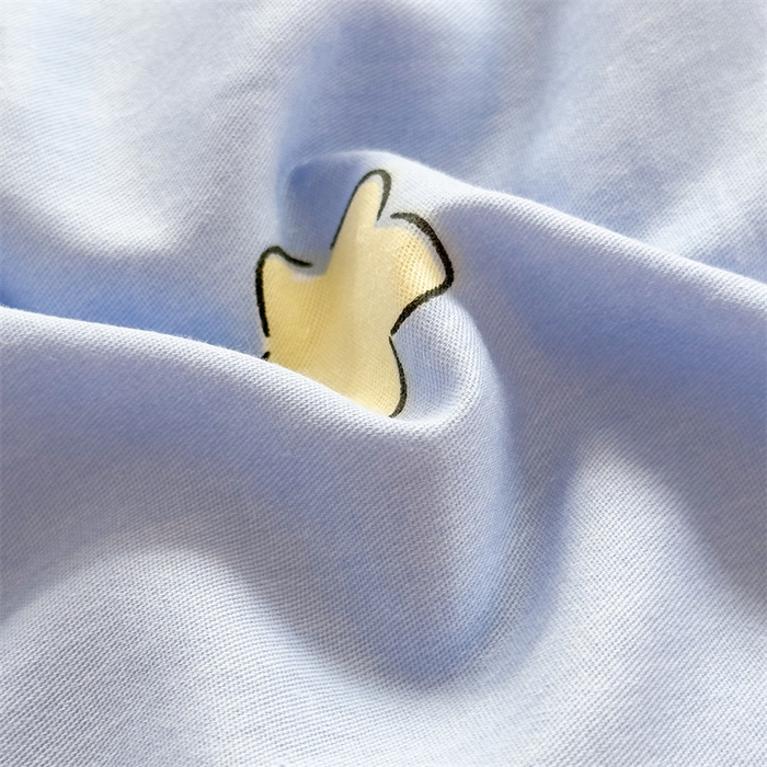 91家纺网 家纺一手货源 找家纺 默忆 2025新款全棉豆豆绒被子豆豆被冬被被芯 晚安星星