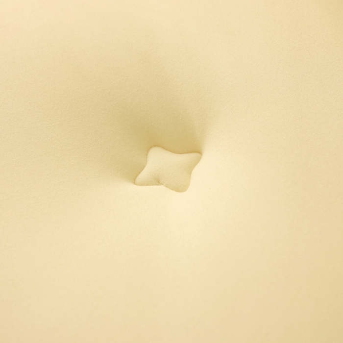 91家纺网 家纺一手货源 找家纺 宝士康家纺 2025新品10A抗菌金乳丝春秋被/冬被/跨境外贸 金乳丝-米色