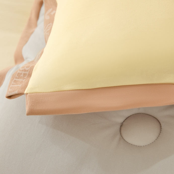 91家纺网 家纺一手货源 找家纺 宝士康家纺 2025新品10A抗菌金乳丝春秋被/冬被/跨境外贸 金乳丝-米色