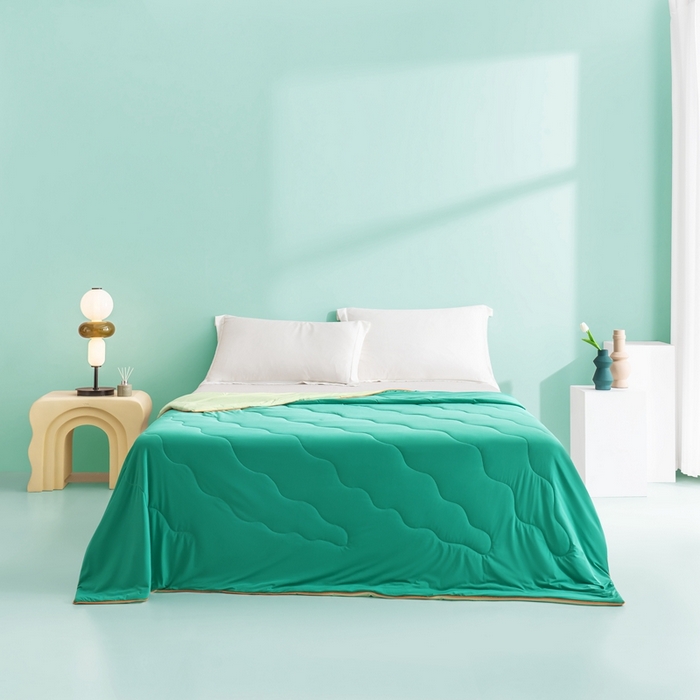 （总）麦空家居 2025新款A类氨纶凉感丝西瓜抗菌空调被夏被