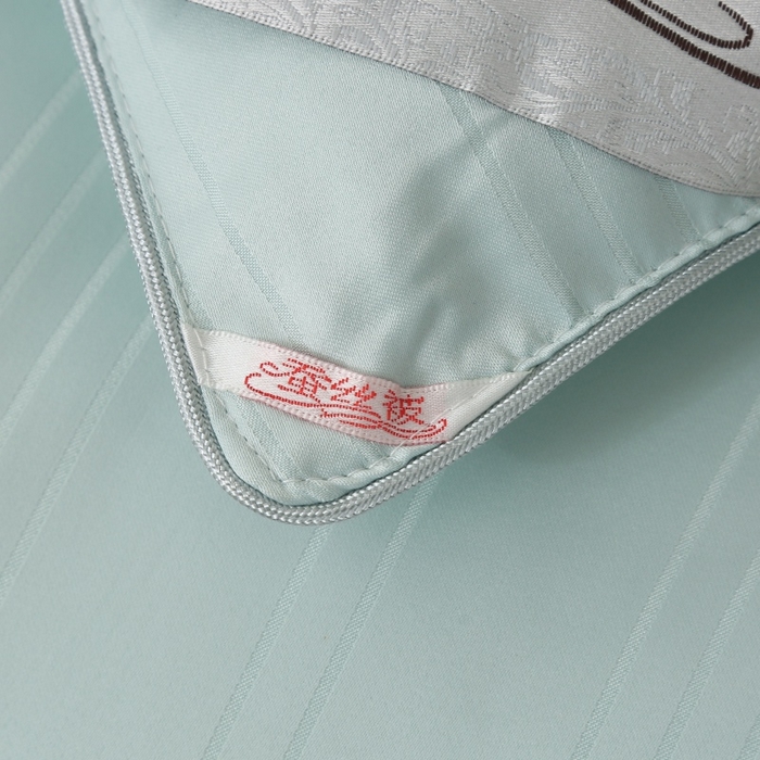 91家纺网 家纺一手货源 找家纺 越宏顺 2025新款全棉缎条.被桑.被春秋被双人子母被二合一冬被 绿色