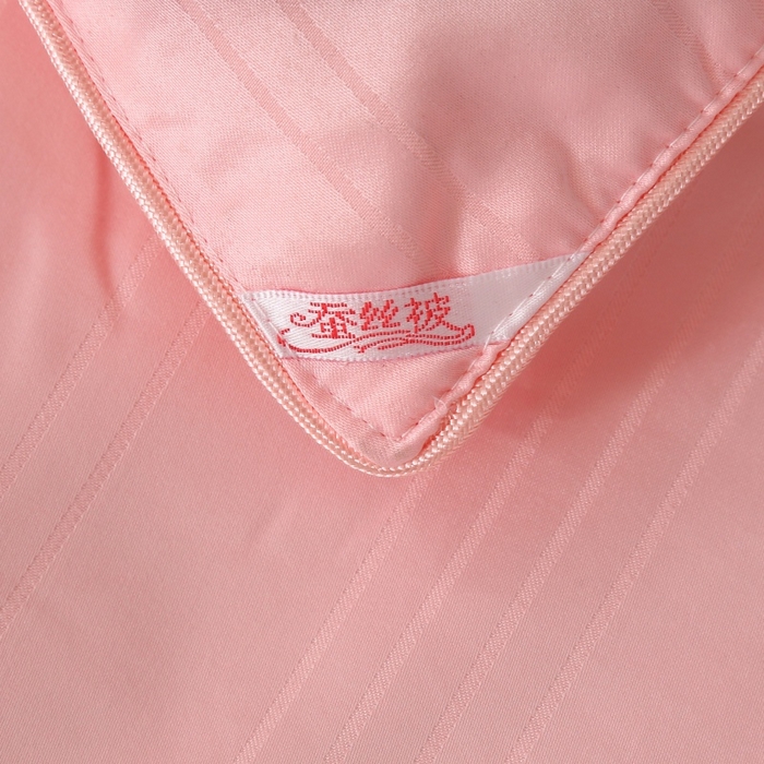 91家纺网 家纺一手货源 找家纺 越宏顺 2025新款全棉缎条.被桑.被春秋被双人子母被二合一冬被 玉色