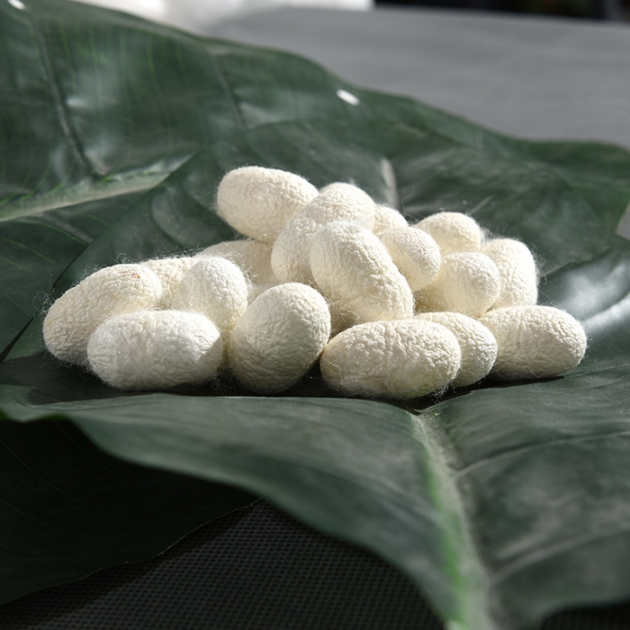 91家纺网 家纺一手货源 找家纺 越宏顺 2025新款牡丹花定制款.被客户定制被子被芯定制款不退不换 大红