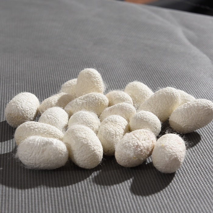 91家纺网 家纺一手货源 找家纺 越宏顺 2025新款牡丹花定制款.被客户定制被子被芯定制款不退不换 玉色