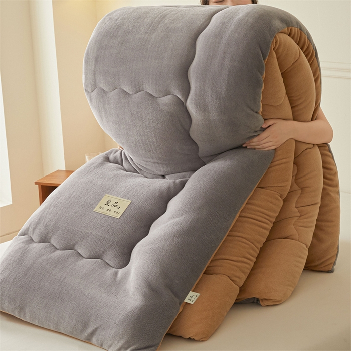 91家纺网 家纺一手货源 找家纺 吉祥家纺 2025新款牛奶绒冬被系列被子被芯 卡布奇诺