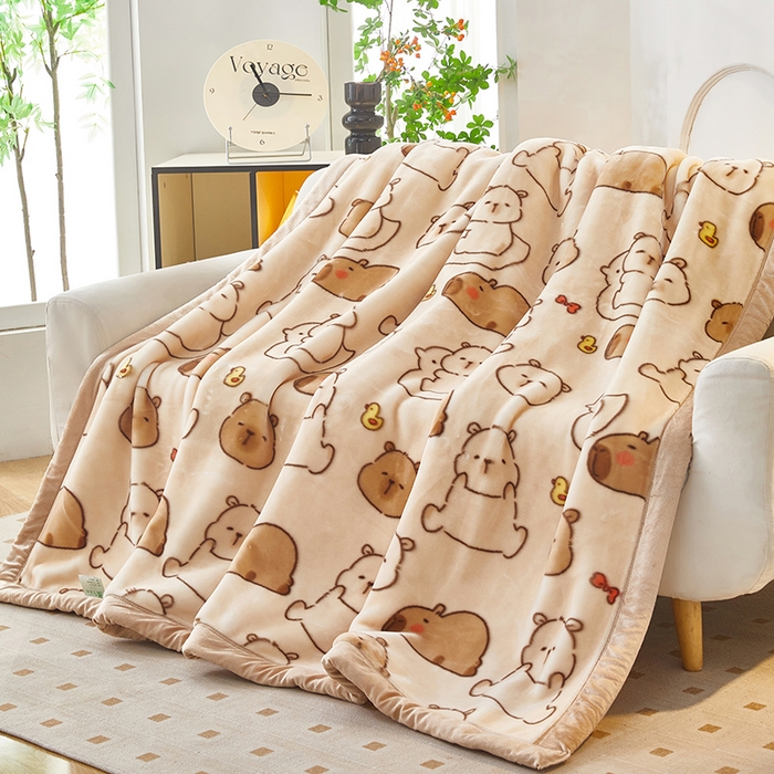 91家纺网 家纺一手货源 找家纺 好艺佳毛毯 2025新款（升级版）拉舍尔毛毯学生毯宿舍婚庆加厚双层毯子绒毯盖毯不掉毛毛毯 升级版-卡皮巴拉