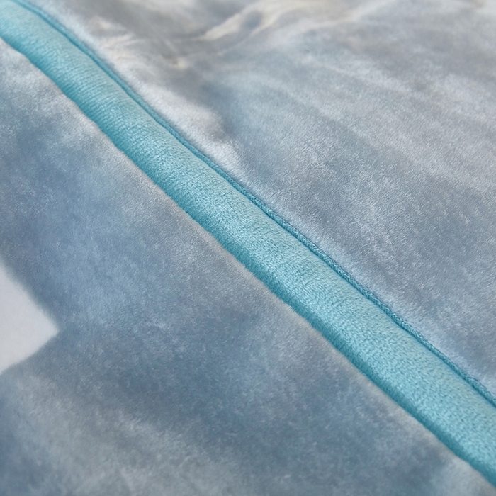 91家纺网 家纺一手货源 找家纺 好艺佳毛毯 2025新款（升级版）拉舍尔毛毯学生毯宿舍婚庆加厚双层毯子绒毯盖毯不掉毛毛毯 升级版-猫猫熊-蓝