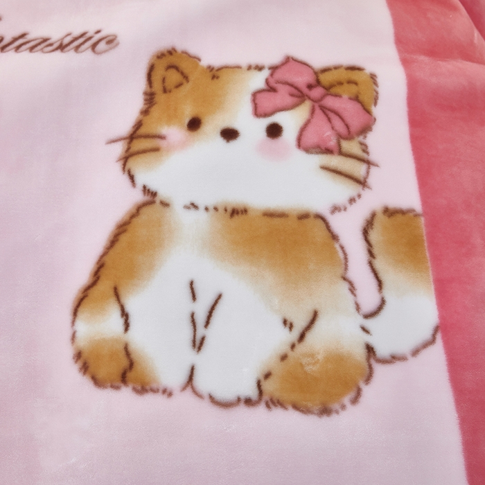 91家纺网 家纺一手货源 找家纺 好艺佳毛毯 2025新款（升级版）拉舍尔毛毯学生毯宿舍婚庆加厚双层毯子绒毯盖毯不掉毛毛毯 升级版- 猫猫熊-粉