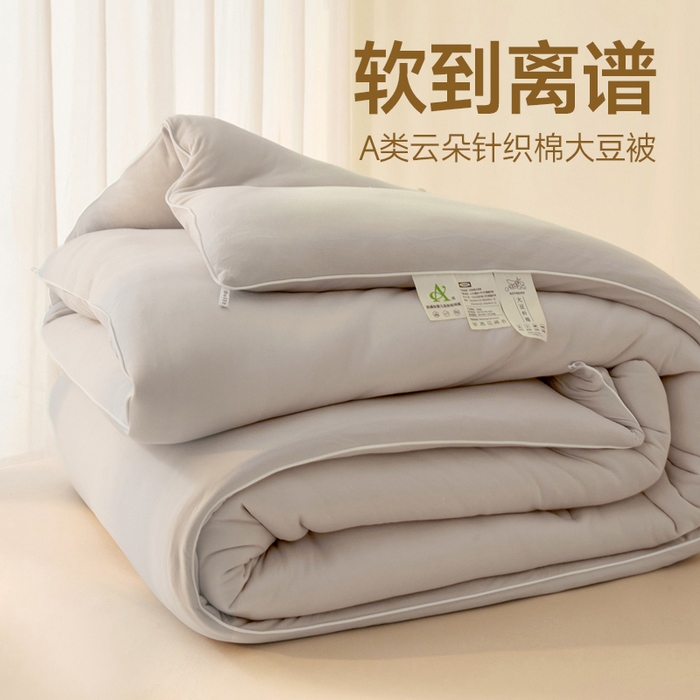 玉相逢 2025新款针织棉大豆被冬被加厚春秋被被子被芯  10%大豆纤维 （包质检） 青空灰