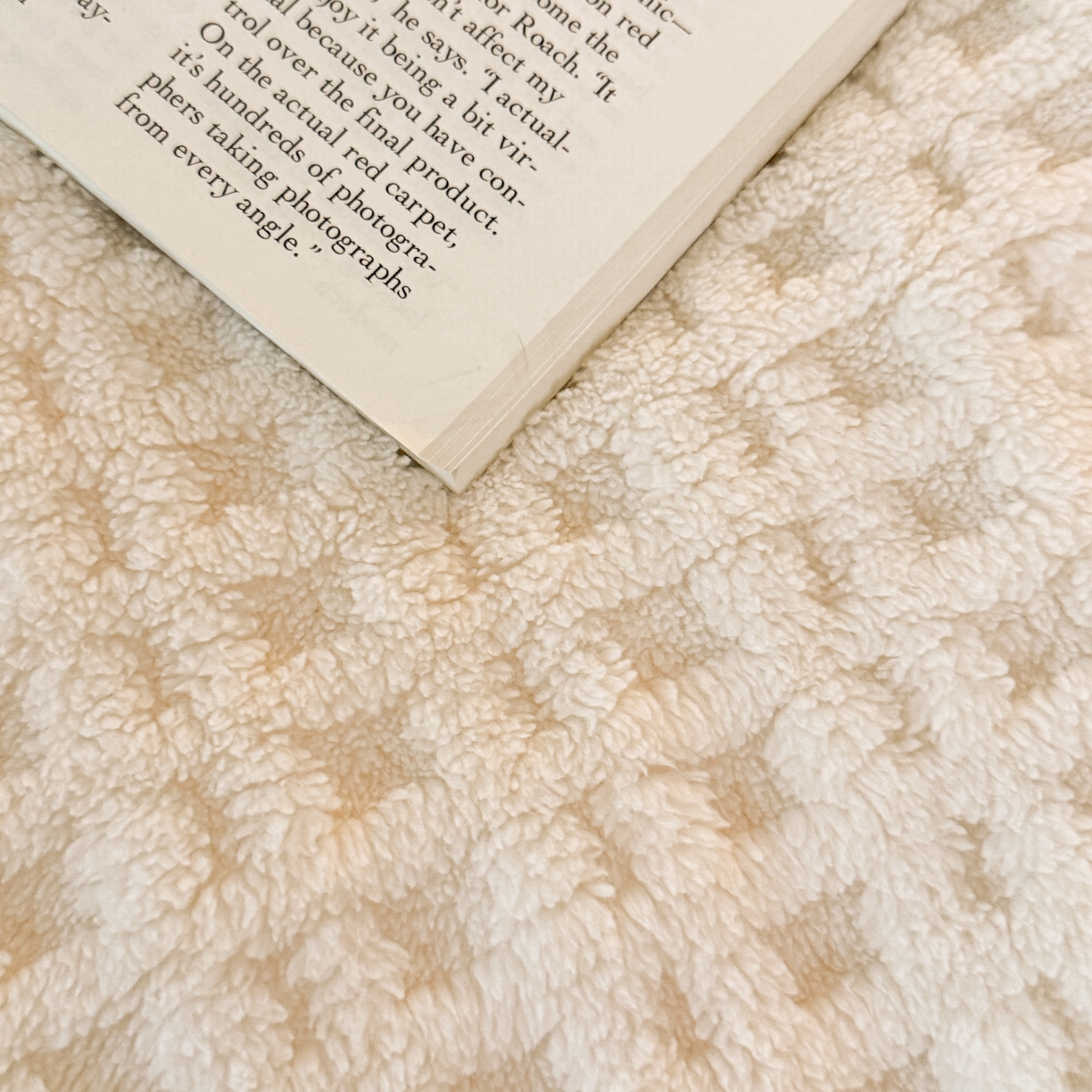 91家纺网 家纺一手货源 找家纺 欧邦 2025新款华夫格羊羔绒双层毯盖毯毯子-场景2 华夫格-米白