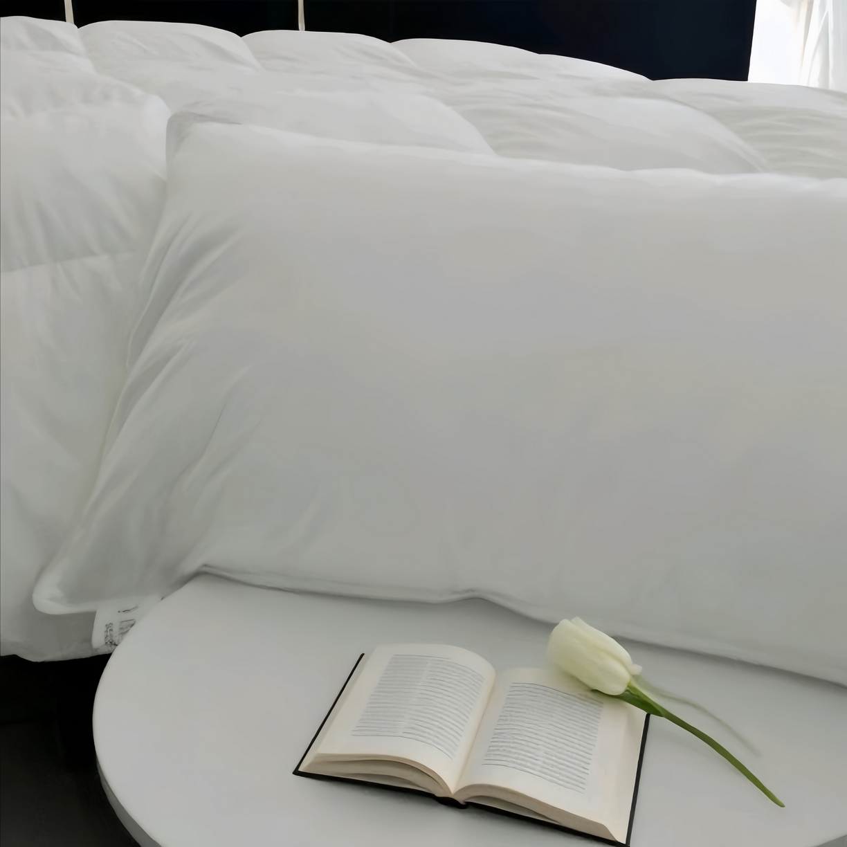 91家纺网 家纺一手货源 找家纺 安力森/诚臻酒店用品 2025新款全棉纯棉100白鹅绒枕头枕芯星级酒店超软不塌国家标准防钻枕头枕芯 白鹅毛羽绒枕（50%白鹅绒）