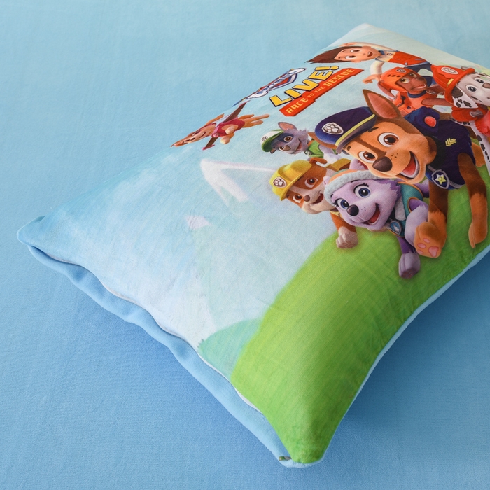 91家纺网 家纺一手货源 找家纺 ds生活馆 2026新款大版卡通水晶绒牛奶绒单被套 汪汪队