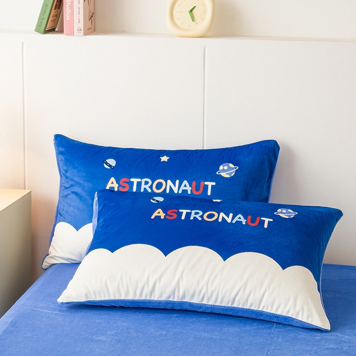 91家纺网 家纺一手货源 找家纺 （总）ds生活馆 2025新款大版卡通水晶绒牛奶绒单枕套