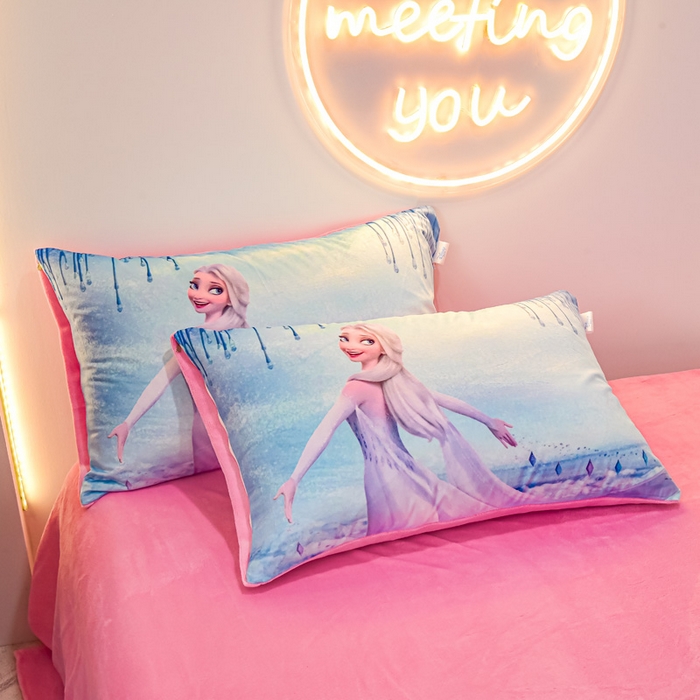 91家纺网 家纺一手货源 找家纺 （总）ds生活馆 2025新款大版卡通水晶绒牛奶绒单枕套