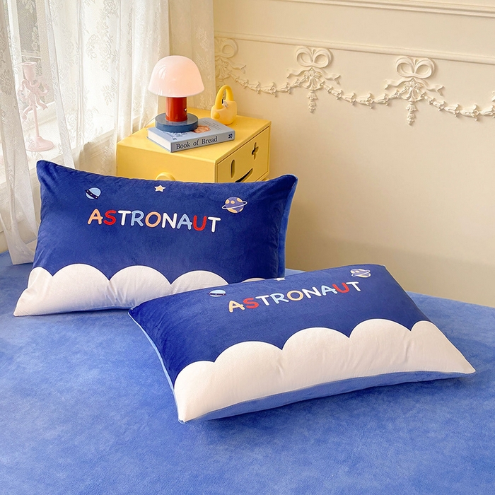 91家纺网 家纺一手货源 找家纺 ds生活馆 2025新款大版卡通水晶绒牛奶绒单枕套 流浪月球