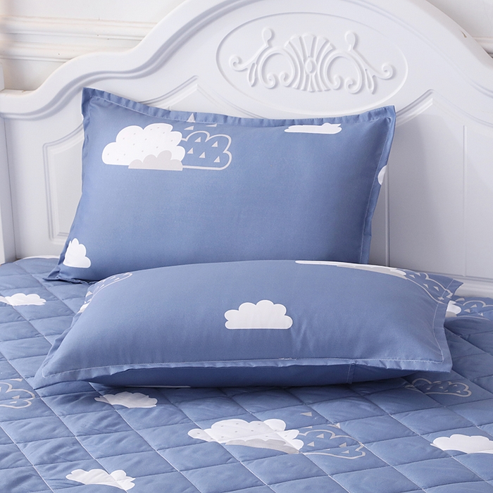 91家纺网 家纺一手货源 找家纺 笠裙家纺 2025新款磨毛夹棉S边单件三件套韩版防滑床裙单床裙床裙单件 云朵