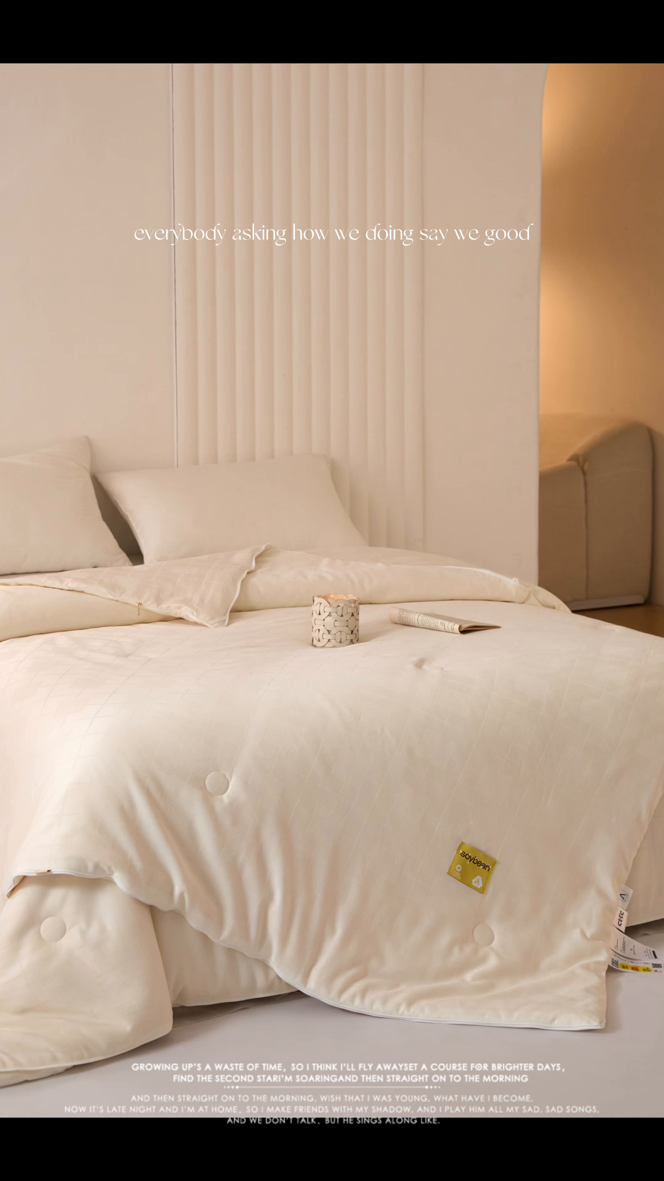 91家纺网 家纺一手货源 找家纺 （总）纪梵茜 2025新款李官奇正品授权优棉提花大豆被二合一拉链子母被芯四季被子