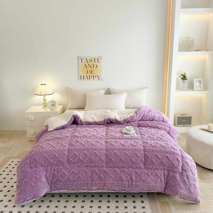 畅销被业 2025新款塔芙绒冬被 塔芙绒-紫色