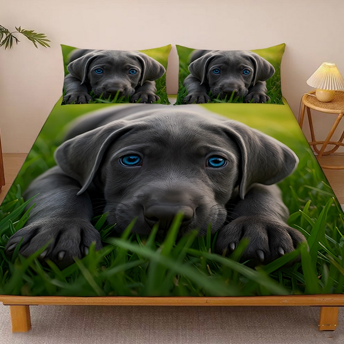 91家纺网 家纺一手货源 找家纺 （总）余杉2025pod模式跨境床笠单件床垫保护套床罩一件代发emu希音集采shein亚马逊速卖通-第二批