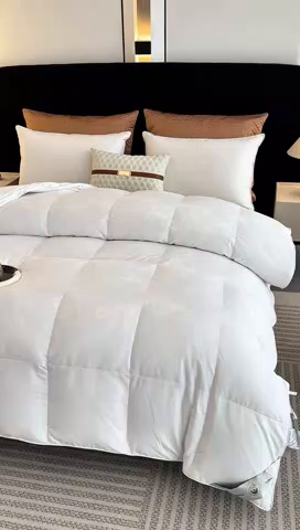 91家纺网 家纺一手货源 找家纺 棠婷  2025年新款全棉80s贡缎50白鸭绒90白鹅绒被鸭绒被双层大提花羽绒被子 白色