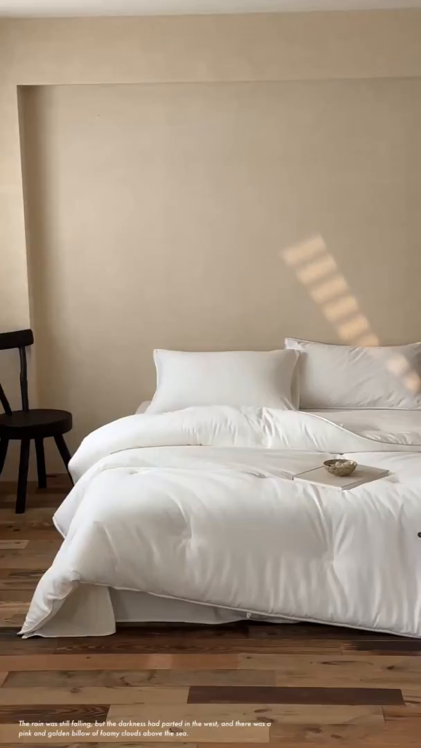 91家纺网 家纺一手货源 找家纺 （总）一加一 2025新款A类云暖棉柔棉花被子被芯