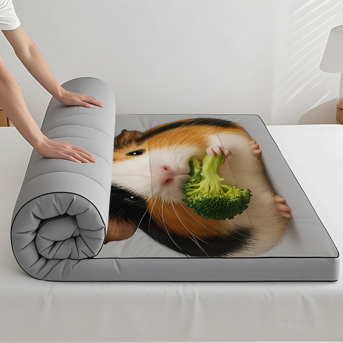 91家纺网 家纺一手货源 找家纺 （总2）余杉2025新款跨境充绒床垫褥子temu希音集采shein亚马逊速卖通第二批