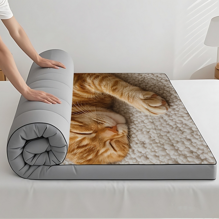 91家纺网 家纺一手货源 找家纺 （总2）余杉2025新款跨境充绒床垫褥子temu希音集采shein亚马逊速卖通第二批