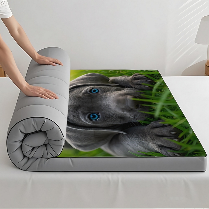 91家纺网 家纺一手货源 找家纺 （总2）余杉2025新款跨境充绒床垫褥子temu希音集采shein亚马逊速卖通第二批