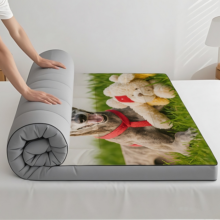 91家纺网 家纺一手货源 找家纺 （总2）余杉2025新款跨境充绒床垫褥子temu希音集采shein亚马逊速卖通第二批