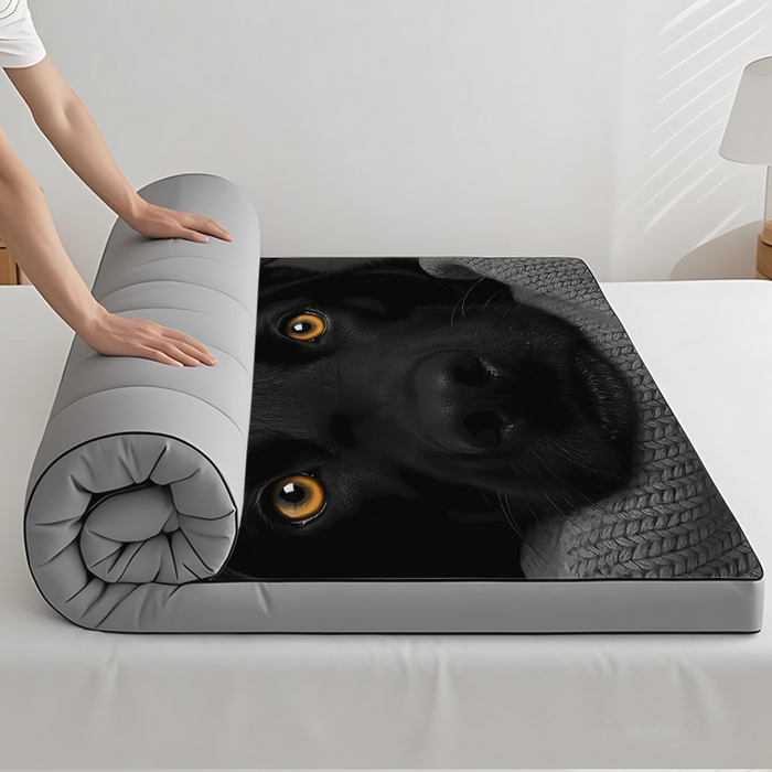 91家纺网 家纺一手货源 找家纺 （总2）余杉2025新款跨境充绒床垫褥子temu希音集采shein亚马逊速卖通第二批