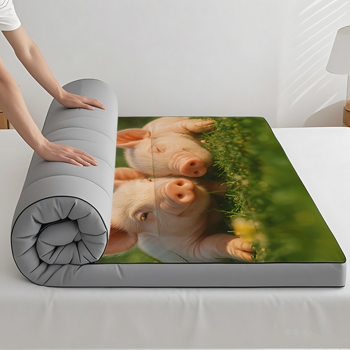 91家纺网 家纺一手货源 找家纺 （总2）余杉2025新款跨境充绒床垫褥子temu希音集采shein亚马逊速卖通第二批