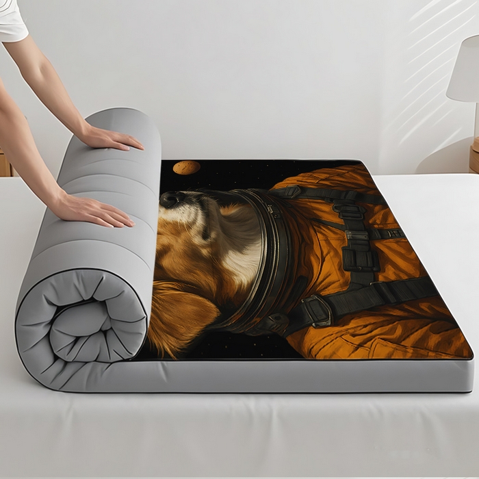 91家纺网 家纺一手货源 找家纺 （总1）余杉2025新款跨境充绒床垫褥子temu希音集采shein亚马逊速卖通第一批