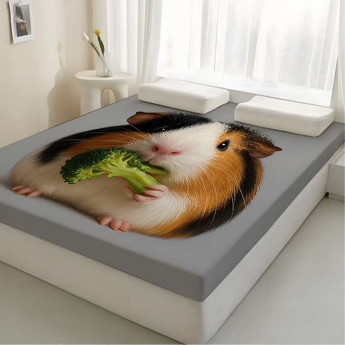 91家纺网 家纺一手货源 找家纺 （总2）余杉2025新款跨境海绵床垫可拆洗记忆棉褥子temu希音集采shein亚马逊速卖通第一批