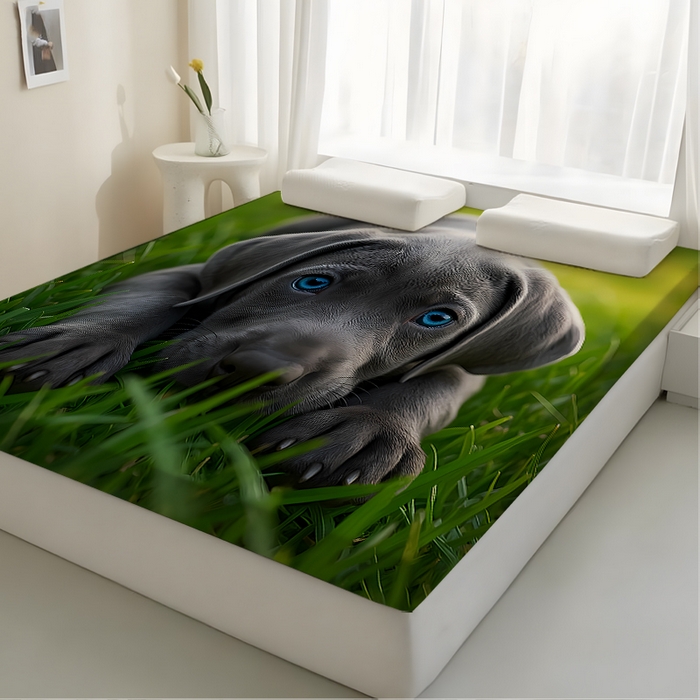 91家纺网 家纺一手货源 找家纺 （总2）余杉2025新款跨境海绵床垫可拆洗记忆棉褥子temu希音集采shein亚马逊速卖通第一批