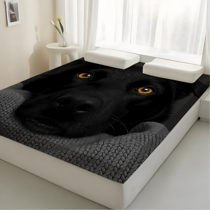 91家纺网 家纺一手货源 找家纺 （总3）余杉2025新款跨境海绵床垫可拆洗记忆棉褥子temu希音集采shein亚马逊速卖通第一批