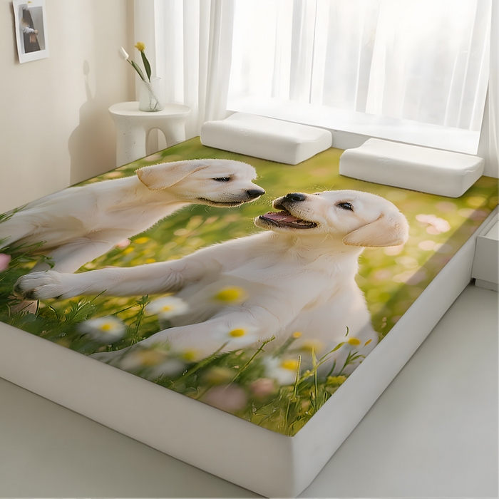 91家纺网 家纺一手货源 找家纺 （总3）余杉2025新款跨境海绵床垫可拆洗记忆棉褥子temu希音集采shein亚马逊速卖通第一批