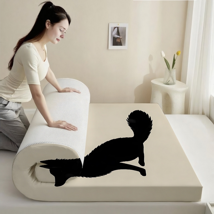 91家纺网 家纺一手货源 找家纺 （总3）余杉2025新款跨境海绵床垫可拆洗记忆棉褥子temu希音集采shein亚马逊速卖通第一批