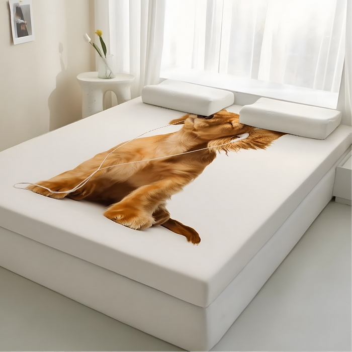 91家纺网 家纺一手货源 找家纺 （总2）余杉2025新款跨境海绵床垫可拆洗记忆棉褥子temu希音集采shein亚马逊速卖通第二批