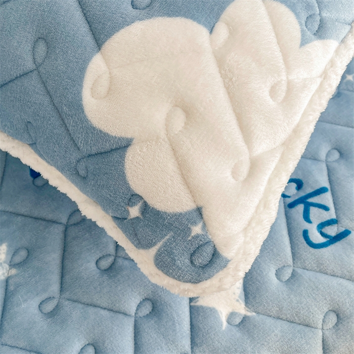 91家纺网 家纺一手货源 找家纺 小萌虎 2025新款A类防静电牛奶绒印花夹棉床笠 在云端