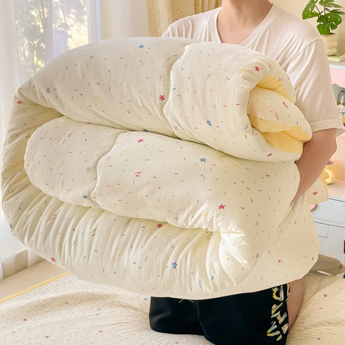 91家纺网 家纺一手货源 找家纺 老帅的工厂店 2025新款7A抗菌床盖加厚被芯云感春秋冬被子被芯四件套系列（有买家秀） 织梦