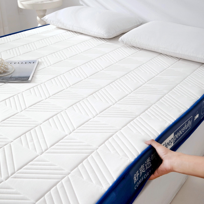 91家纺网 家纺一手货源 找家纺 （总）MOA生态床垫 2025新款加厚海绵床垫卧室乳胶床垫学生宿舍记忆棉床垫