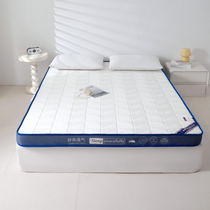 91家纺网 家纺一手货源 找家纺 （总）MOA生态床垫 2025新款加厚海绵床垫卧室乳胶床垫学生宿舍记忆棉床垫