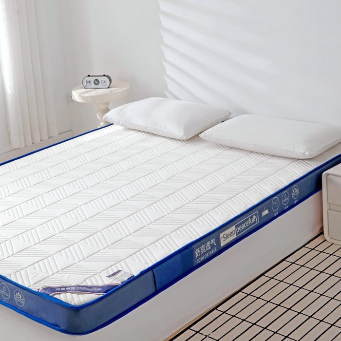 91家纺网 家纺一手货源 找家纺 （总）MOA生态床垫 2025新款加厚海绵床垫卧室乳胶床垫学生宿舍记忆棉床垫