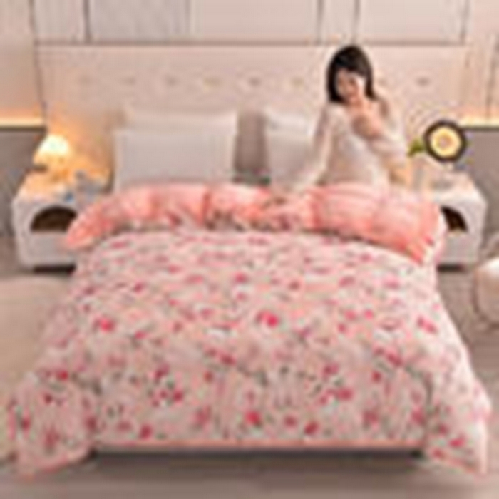 91家纺网 家纺一手货源 找家纺 （总）静缘分 2025新款230克特厚牛奶绒金貂绒床裙款保暖单品被套 