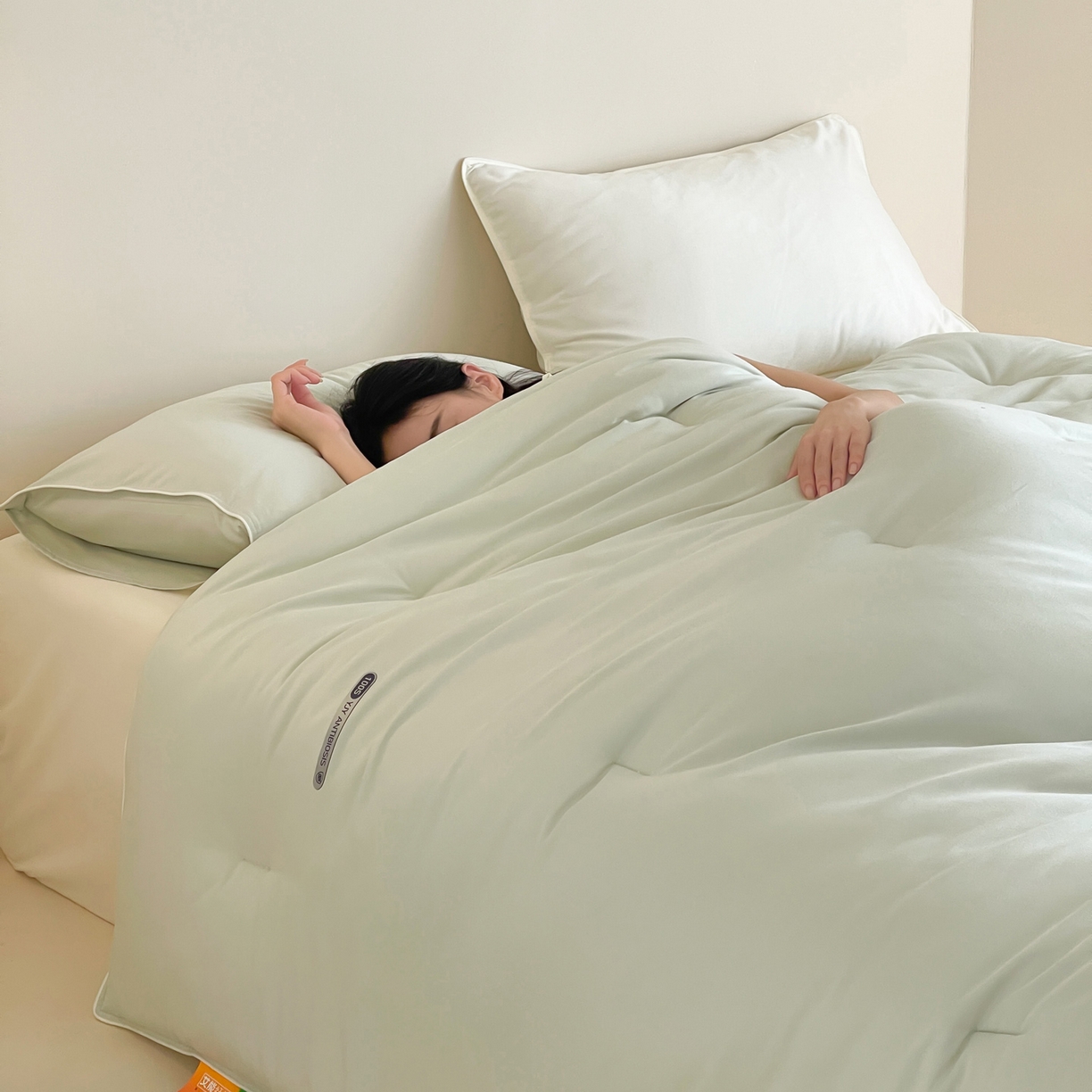 91家纺网 家纺一手货源 找家纺 （总）一加一 2025新款有氧棉艾阳绒中科抗菌被子被芯