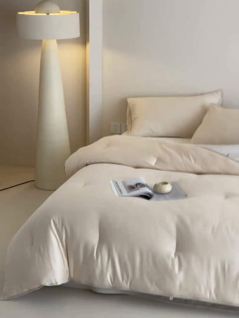 91家纺网 家纺一手货源 找家纺 一加一 2025新款有氧棉艾阳绒中科抗菌被子被芯 摩卡-米