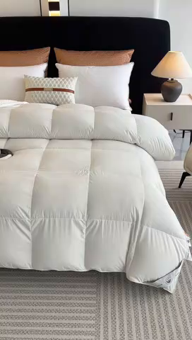 91家纺网 家纺一手货源 找家纺 棠婷  2025新款100支柔赛丝立体羽绒被 白色