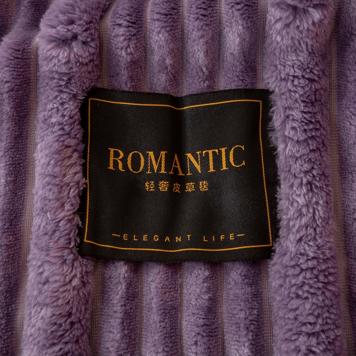 91家纺网 家纺一手货源 找家纺 雅诗帛 2025新款A类兔毛绒子母条毛毯双面云朵绒毛毯宿舍牛奶绒小被毯轻奢时尚加厚保暖盖毯休闲绒毯毯子 雪烟紫