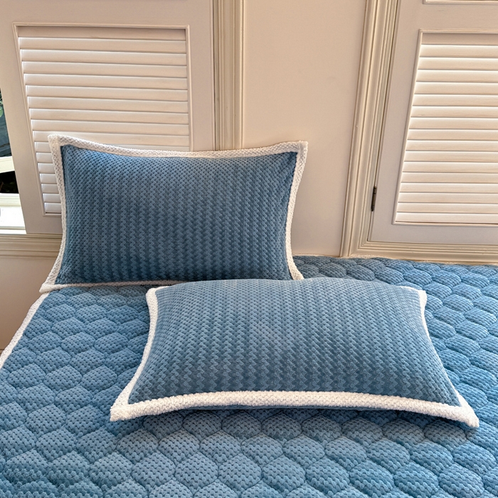 91家纺网 家纺一手货源 找家纺 正邦家纺 2025新款云豆绒加厚保暖夹棉软床垫上下铺床褥学生床护垫 秋波蓝